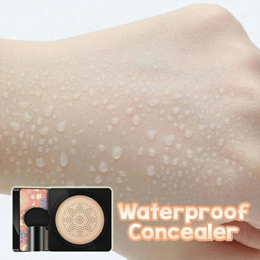 Popular CC Beauty Face Cream Natural Concealer Foundation Harmony Haven