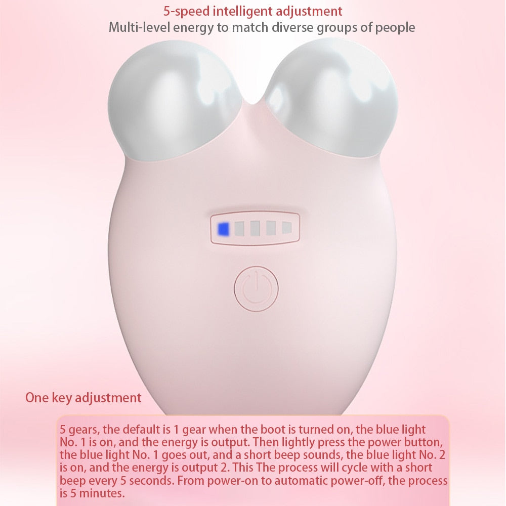 Facial Toning Device Harmony Haven